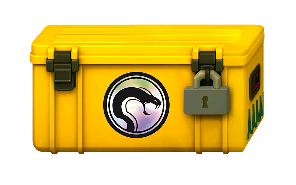 Recoil Case