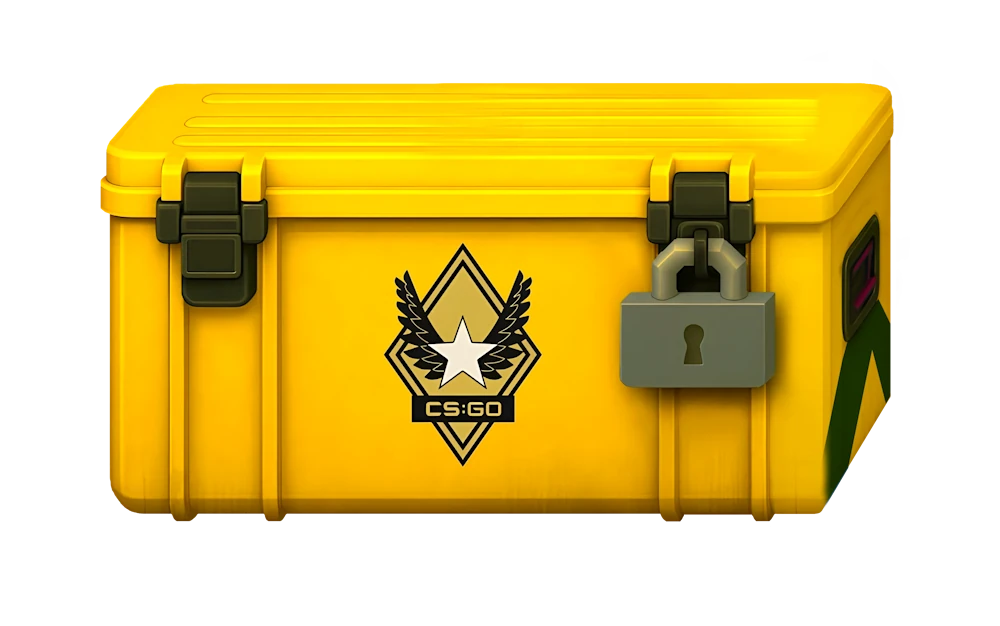 Winter Offensive Weapon Case