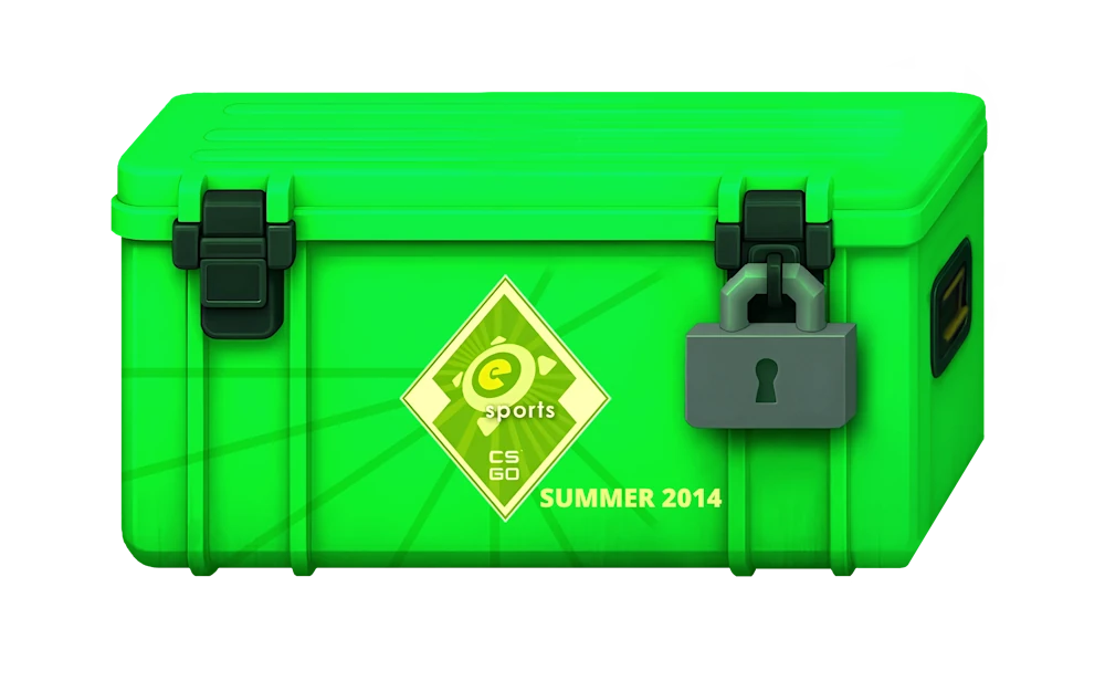 eSports 2014 Summer Case